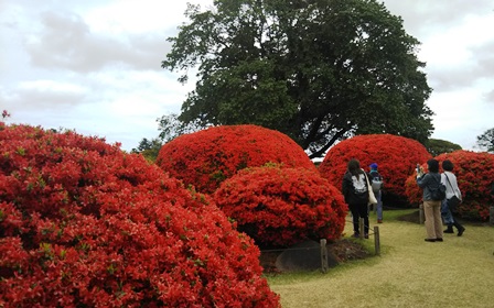 f:id:nekoyanookami:20190503221903j:plain f:id:nekoyanookami:20190503221903j:plain