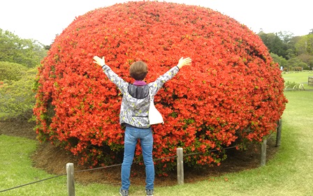 f:id:nekoyanookami:20190503222318j:plain f:id:nekoyanookami:20190503222318j:plain