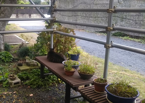 f:id:nekoyanookami:20191011232638j:plain f:id:nekoyanookami:20191011232638j:plain