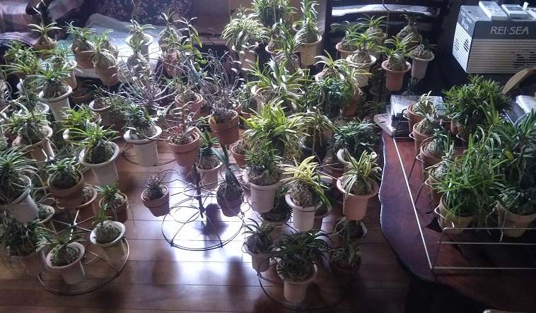 f:id:nekoyanookami:20191011232838j:plain f:id:nekoyanookami:20191011232838j:plain