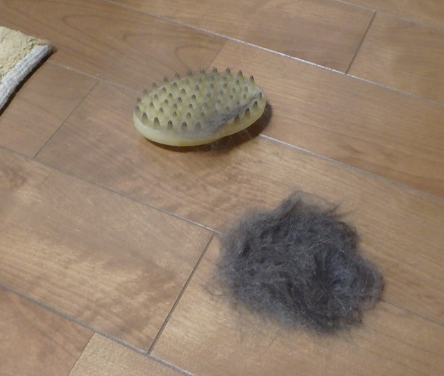 f:id:nekoyanookami:20200329115848j:plain f:id:nekoyanookami:20200329115848j:plain