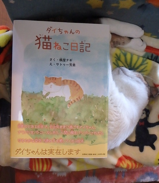 f:id:nekoyanookami:20200407213743j:plain f:id:nekoyanookami:20200407213743j:plain