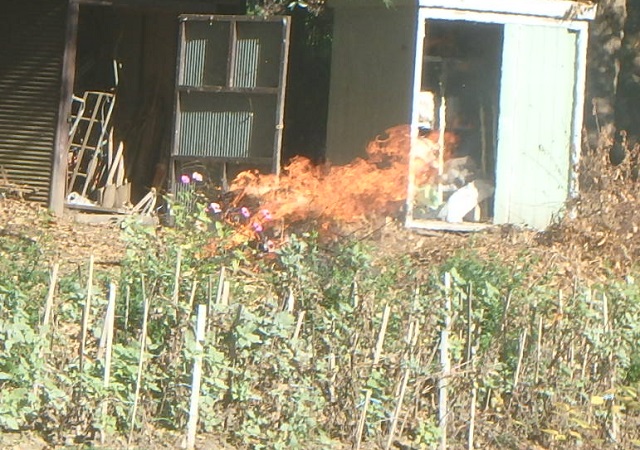 f:id:nekoyanookami:20201122133732j:plain