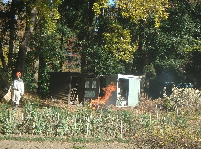 f:id:nekoyanookami:20201122133803j:plain