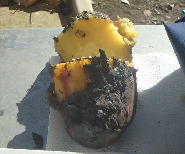 f:id:nekoyanookami:20201122134751j:plain