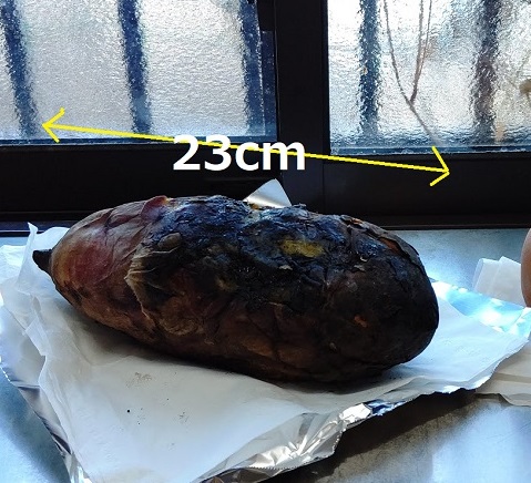 f:id:nekoyanookami:20201122135701j:plain