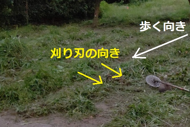 f:id:nekoyanookami:20210726221003j:plain