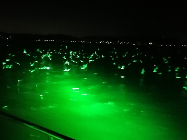 f:id:novaaql1993:20201115162110j:plain f:id:novaaql1993:20201115162110j:plain