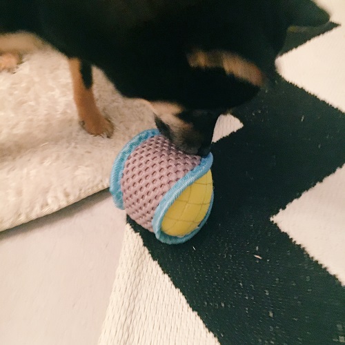 f:id:ohagimame:20180613102831j:plain f:id:ohagimame:20180613102831j:plain