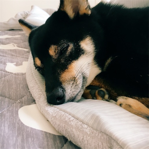 f:id:ohagimame:20190731071718j:image f:id:ohagimame:20190731071718j:image