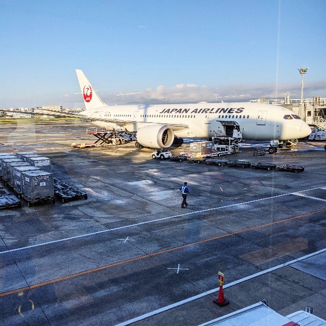 f:id:ohagimame:20200830045924j:image f:id:ohagimame:20200830045924j:image