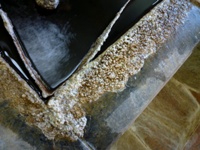 f:id:ohirune-manbou:20110812231705j:image f:id:ohirune-manbou:20110812231705j:image