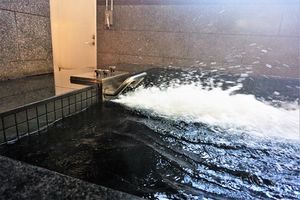 f:id:ohirune-manbou:20190107093125j:image f:id:ohirune-manbou:20190107093125j:image