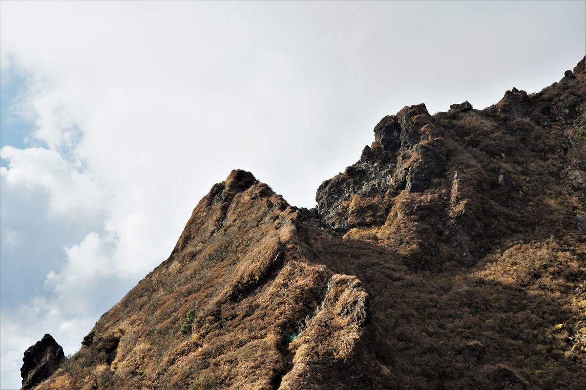 f:id:ohirune-manbou:20211128205516j:plain