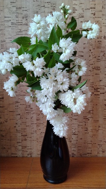 f:id:orangemoon100:20250523123458j:image f:id:orangemoon100:20250523123458j:image