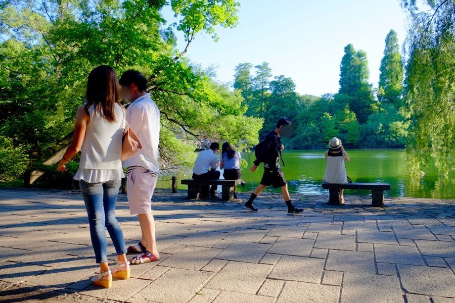 ポケモンGO 井の頭公園 1 ポケモンGO 井の頭公園 1