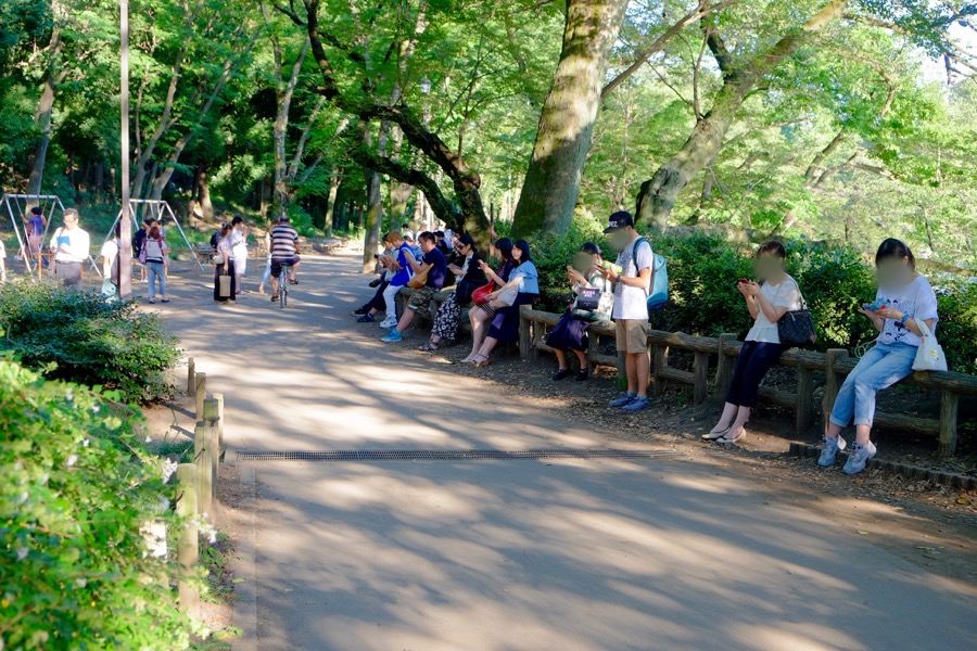 ポケモンGO 井の頭公園 2 ポケモンGO 井の頭公園 2