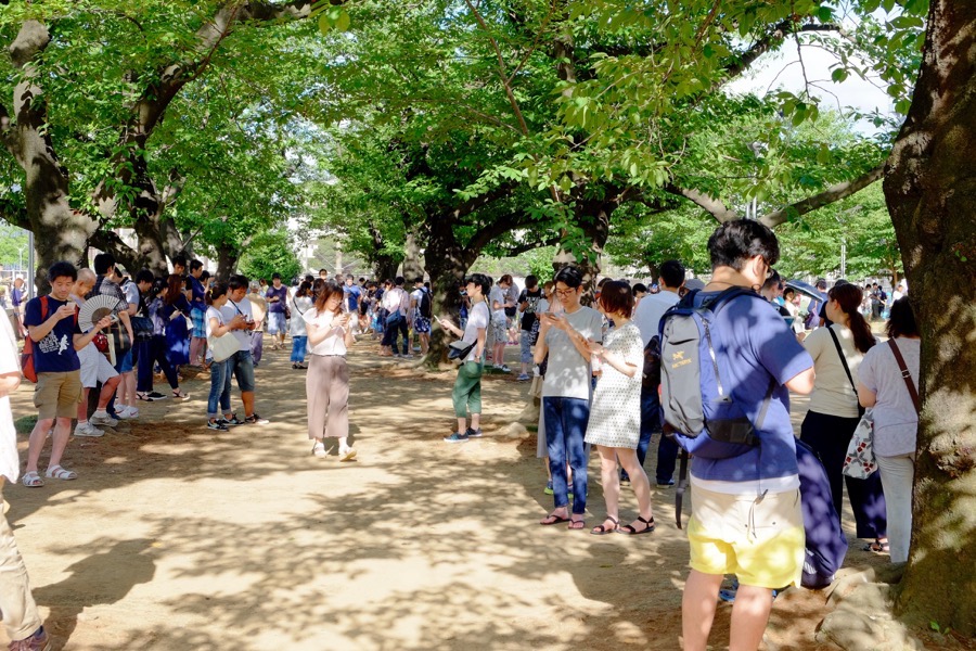 ポケモンGO 錦糸公園 2 ポケモンGO 錦糸公園 2