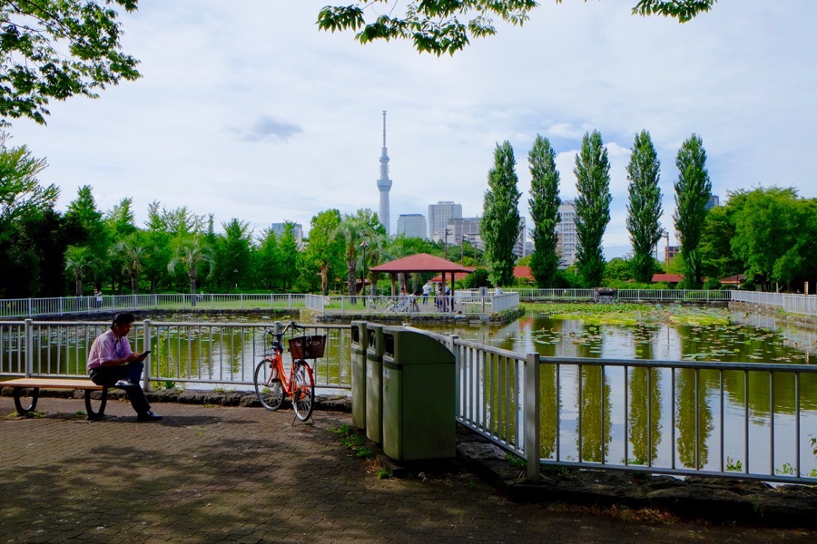 ポケモンGO 猿江恩賜公園 1 ポケモンGO 猿江恩賜公園 1