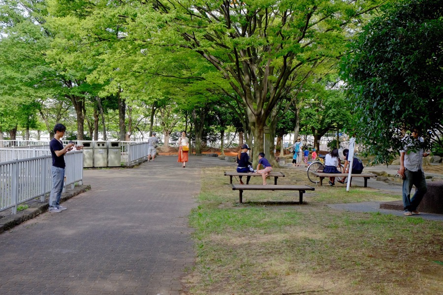 ポケモンGO 猿江恩賜公園 2 ポケモンGO 猿江恩賜公園 2