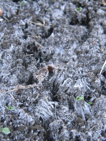 f:id:peepooblue:20141206224908j:image f:id:peepooblue:20141206224908j:image