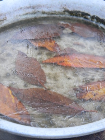 f:id:peepooblue:20141206224909j:image f:id:peepooblue:20141206224909j:image