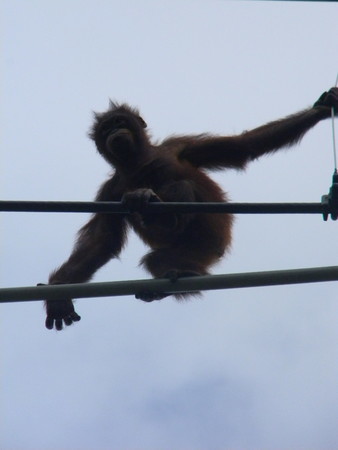 f:id:peepooblue:20180916194838j:image f:id:peepooblue:20180916194838j:image