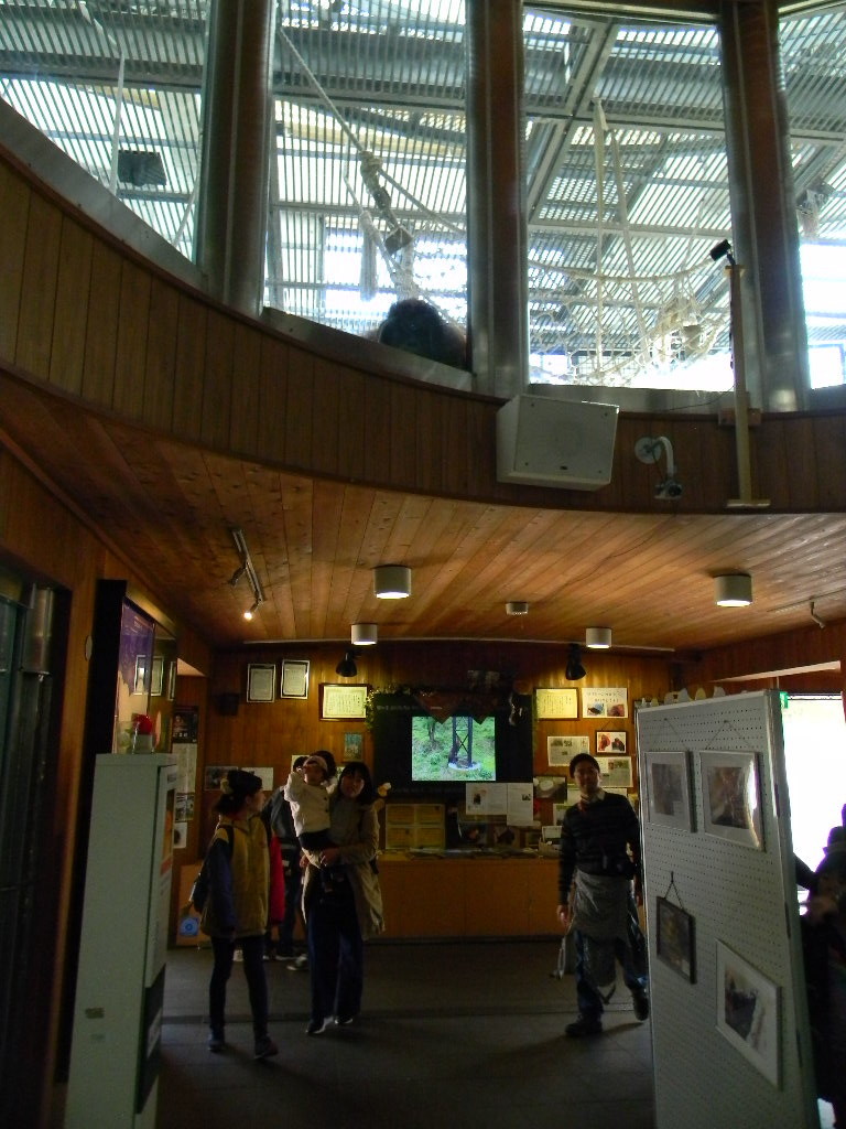 f:id:peepooblue:20181226170242j:plain f:id:peepooblue:20181226170242j:plain