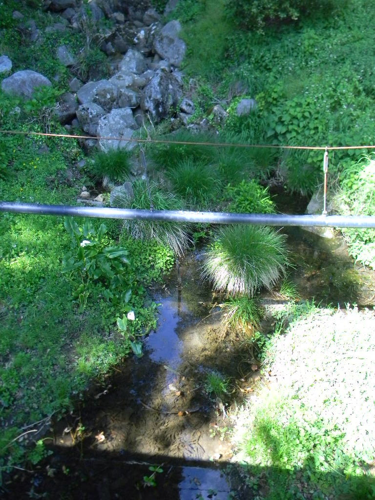 f:id:peepooblue:20190430085757j:plain f:id:peepooblue:20190430085757j:plain