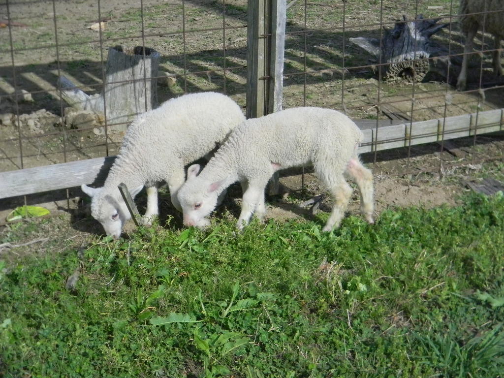 f:id:peepooblue:20190430092506j:plain f:id:peepooblue:20190430092506j:plain