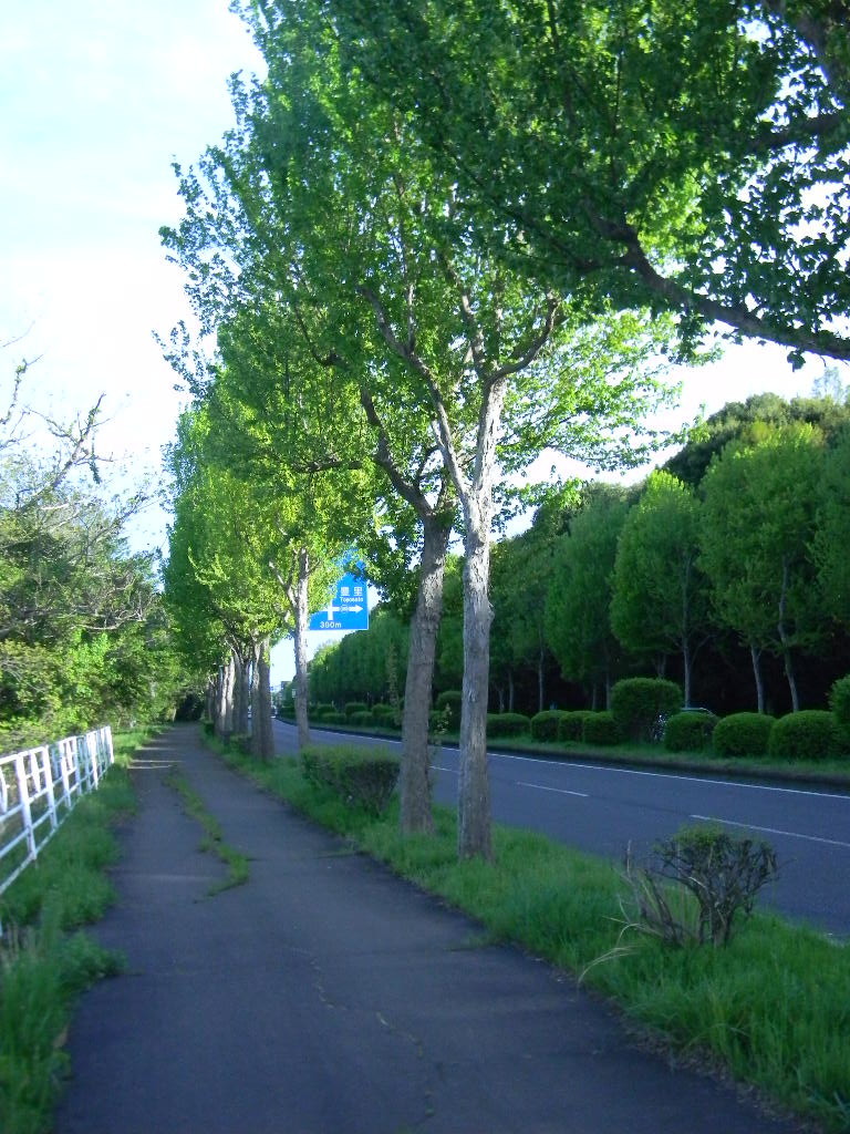 f:id:peepooblue:20190430093002j:plain f:id:peepooblue:20190430093002j:plain