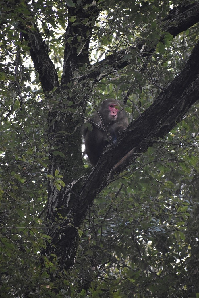 f:id:peepooblue:20191005171934j:plain f:id:peepooblue:20191005171934j:plain