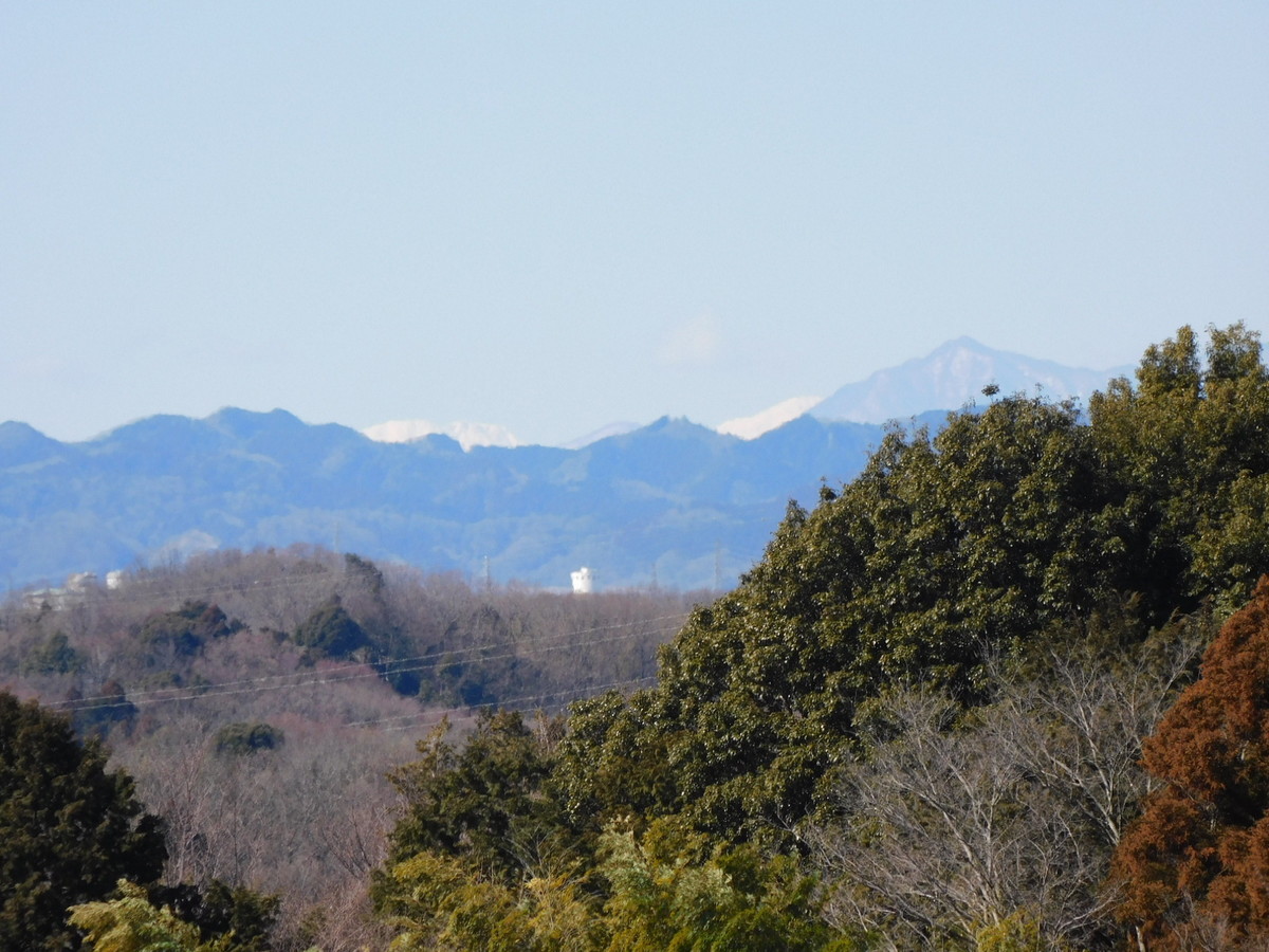 f:id:peepooblue:20220225212341j:plain