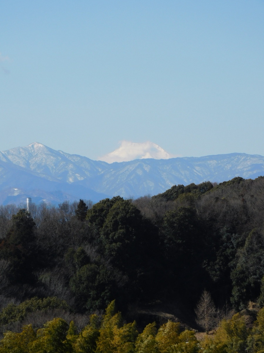 f:id:peepooblue:20220225214138j:plain