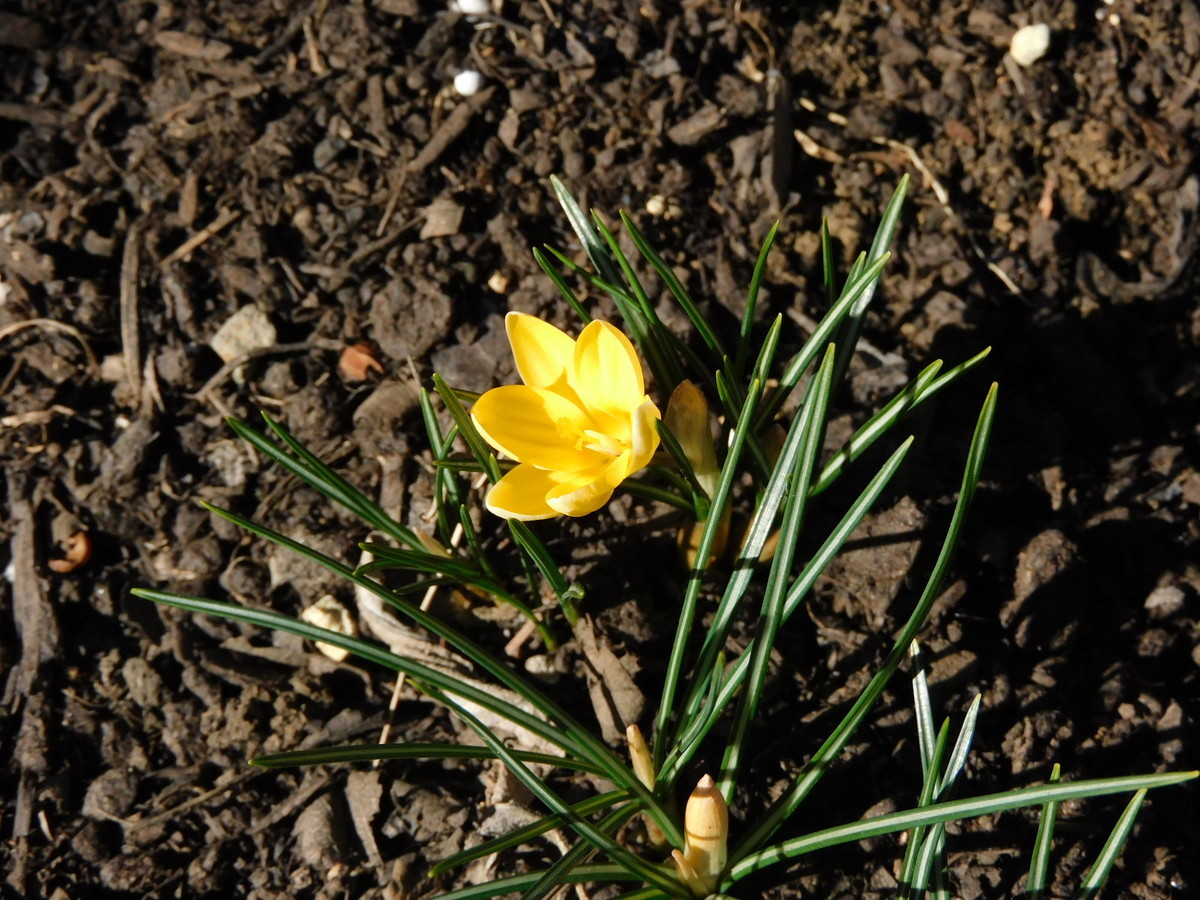 f:id:peepooblue:20220225224152j:plain