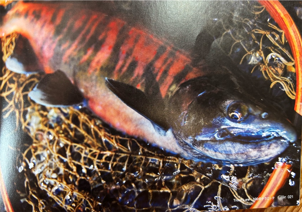 f:id:pirokitan:20241219123448j:image f:id:pirokitan:20241219123448j:image