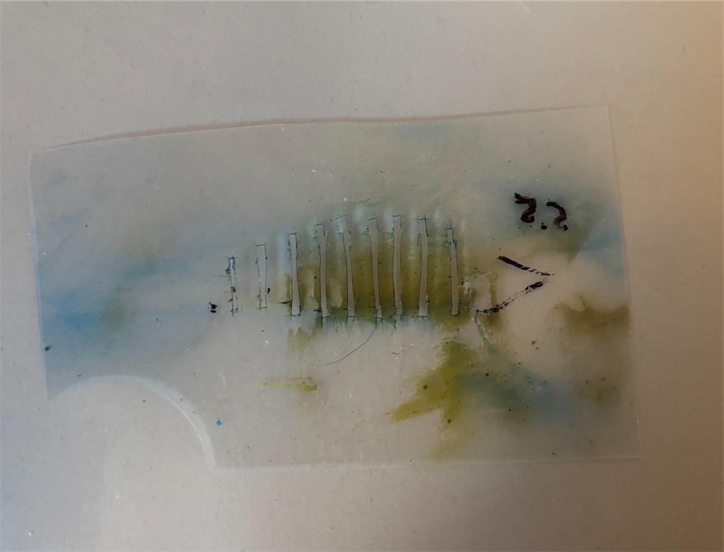 f:id:pirokitan:20241219123625j:image f:id:pirokitan:20241219123625j:image