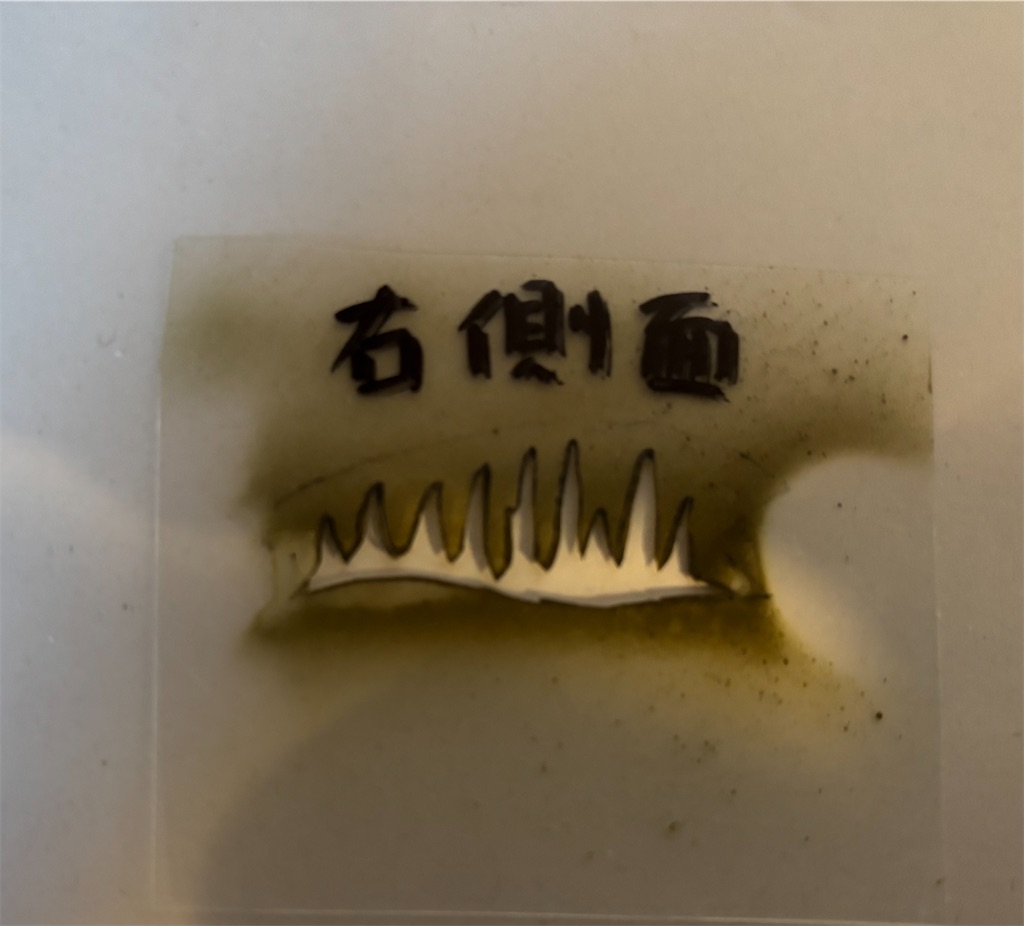 f:id:pirokitan:20241219123636j:image f:id:pirokitan:20241219123636j:image