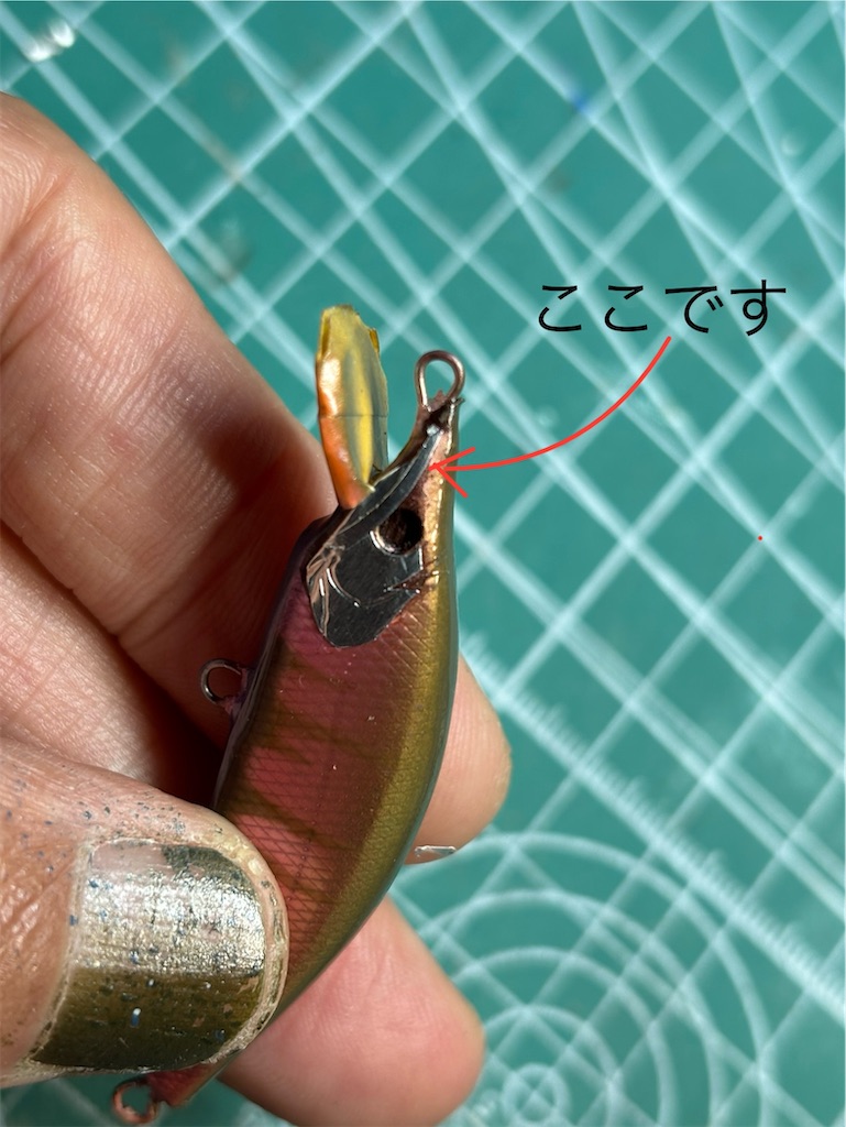 f:id:pirokitan:20241220082712j:image f:id:pirokitan:20241220082712j:image