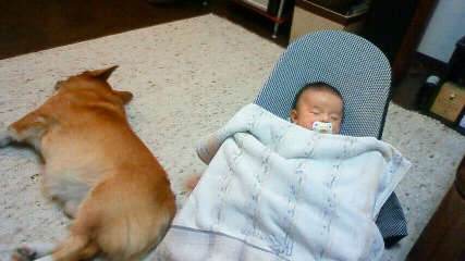 f:id:reikon:20081005173845:image f:id:reikon:20081005173845:image