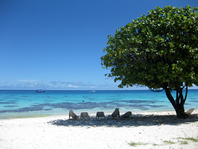 f:id:resoneko:20200413113929j:plain f:id:resoneko:20200413113929j:plain