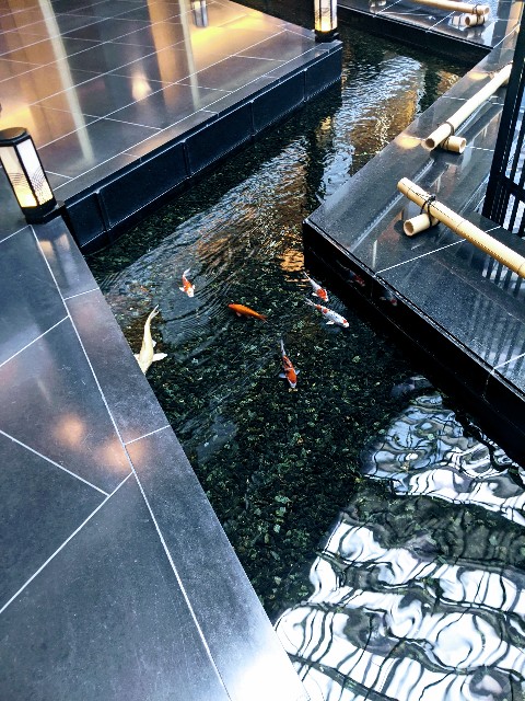 f:id:rien-fukuoka:20201114095930j:plain f:id:rien-fukuoka:20201114095930j:plain