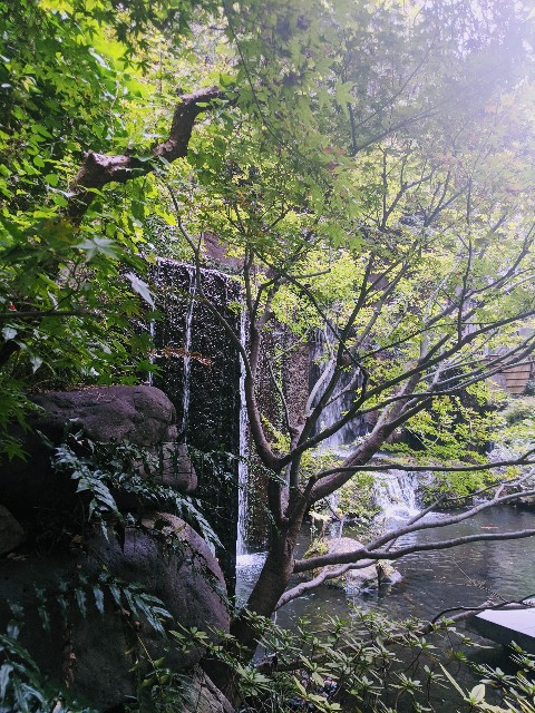 f:id:rien-fukuoka:20201114101033j:plain f:id:rien-fukuoka:20201114101033j:plain