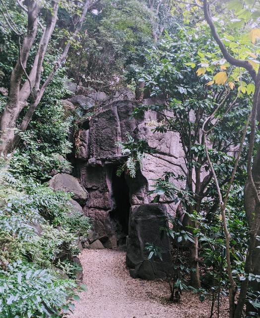 f:id:rien-fukuoka:20201114113032j:plain f:id:rien-fukuoka:20201114113032j:plain