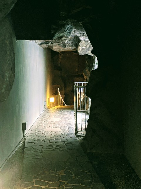 f:id:rien-fukuoka:20201114113252j:plain f:id:rien-fukuoka:20201114113252j:plain