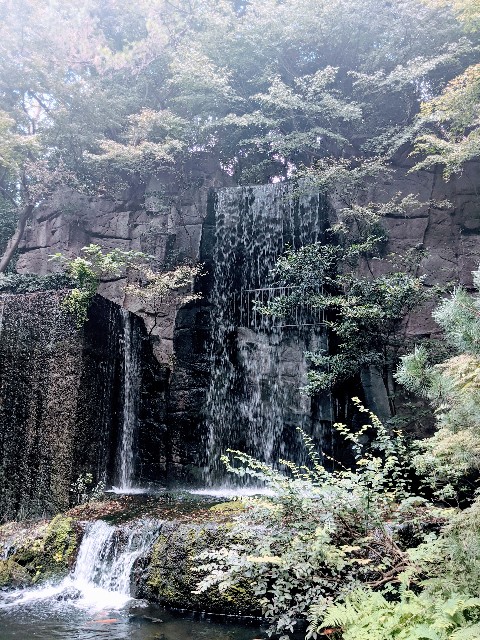 f:id:rien-fukuoka:20201114123707j:plain f:id:rien-fukuoka:20201114123707j:plain