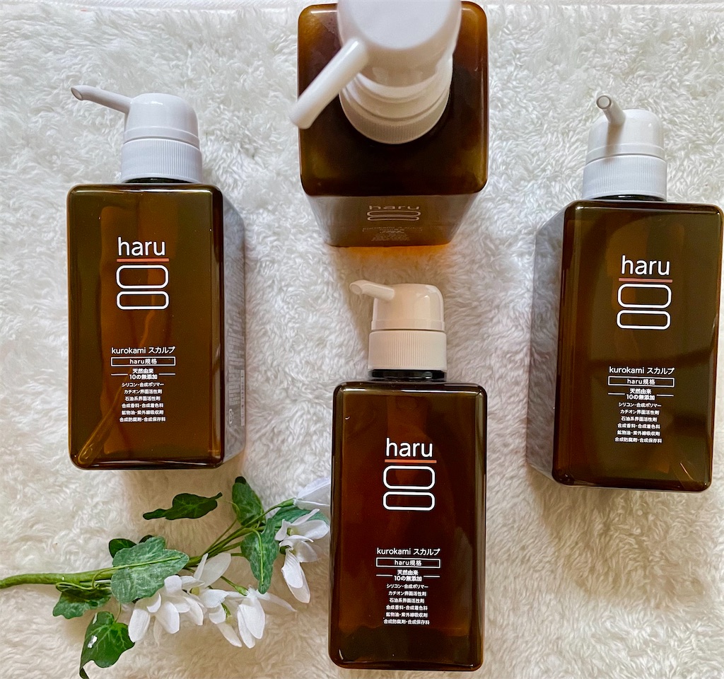 f:id:rumimarusr:20210521144805j:image f:id:rumimarusr:20210521144805j:image