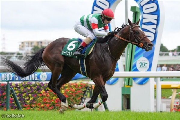 レーベンスティール