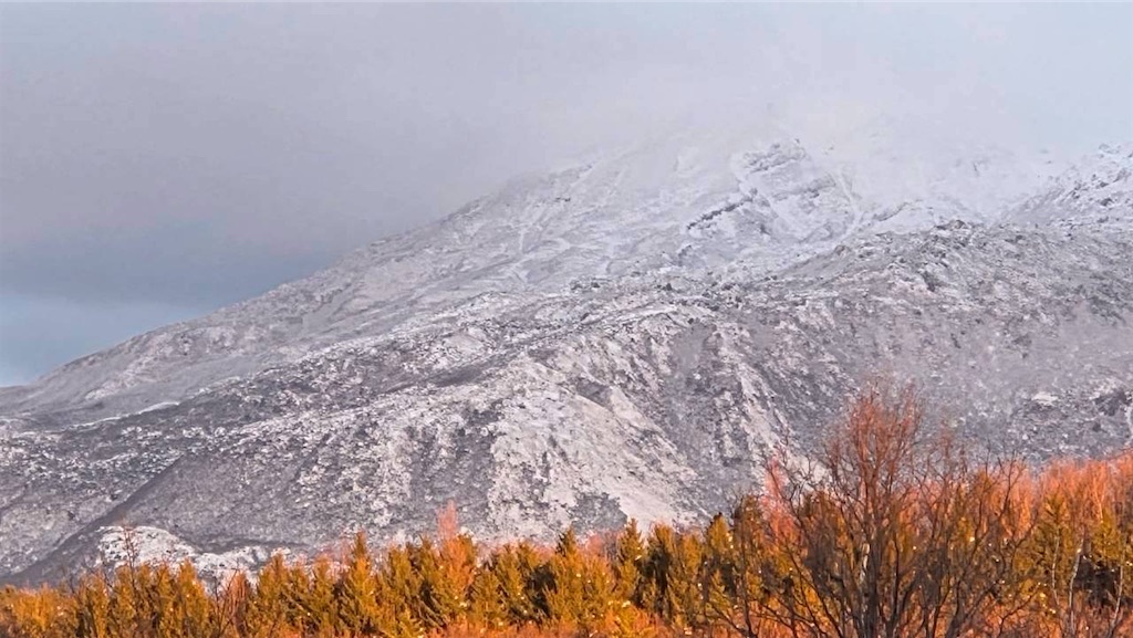 f:id:sangatsu_mw:20251209100159j:image f:id:sangatsu_mw:20251209100159j:image