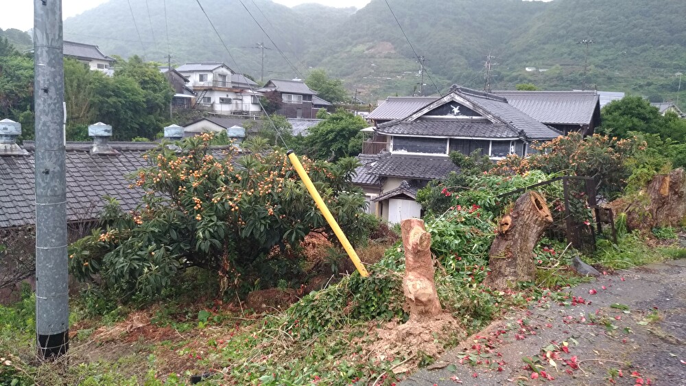 f:id:sankairenzoku10cm:20190615142950j:plain f:id:sankairenzoku10cm:20190615142950j:plain